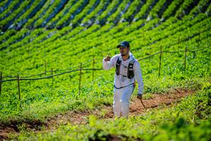 BIB: 
                            <button type="button" onclick="openModal(19162387)" class="btn btn-primary btn-sm float-right btn-popup" data-toggle="modal" data-target=".modal-high-quality">
                        <i class="fas fa-shopping-cart"></i> Add to Cart
                    </button>
                                            <button type="button" onclick="isThisMe(19162387, true)" class="btn btn-success btn-sm float-right btn-popup btn-isme hidden" data-toggle="tooltip" data-placement="bottom" title="นี่คือรูปของคุณใช่ไหม คลิกที่นี่เพื่อเอาเข้าอัลบั้ม">
                        <i class="fas fa-plus"></i> Add to album
                    </button>
                    <button type="button" onclick="isThisMe(19162387, false)" class="btn btn-warning btn-sm float-right btn-popup btn-isnotme hidden">
                        <i class="fas fa-ban"></i> Remove from album
                    </button>